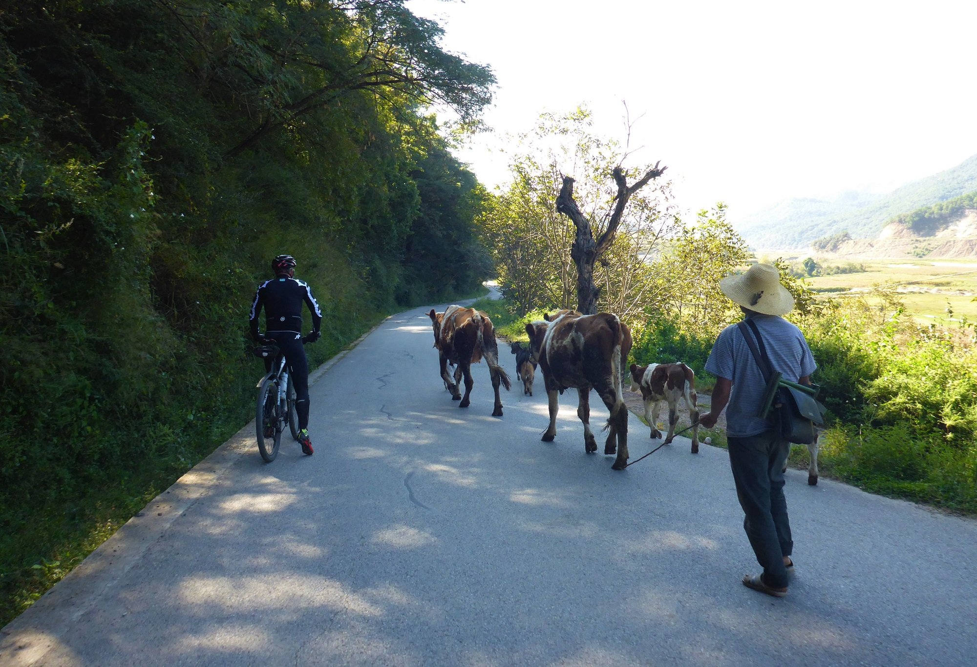 cycling tours yunnan
